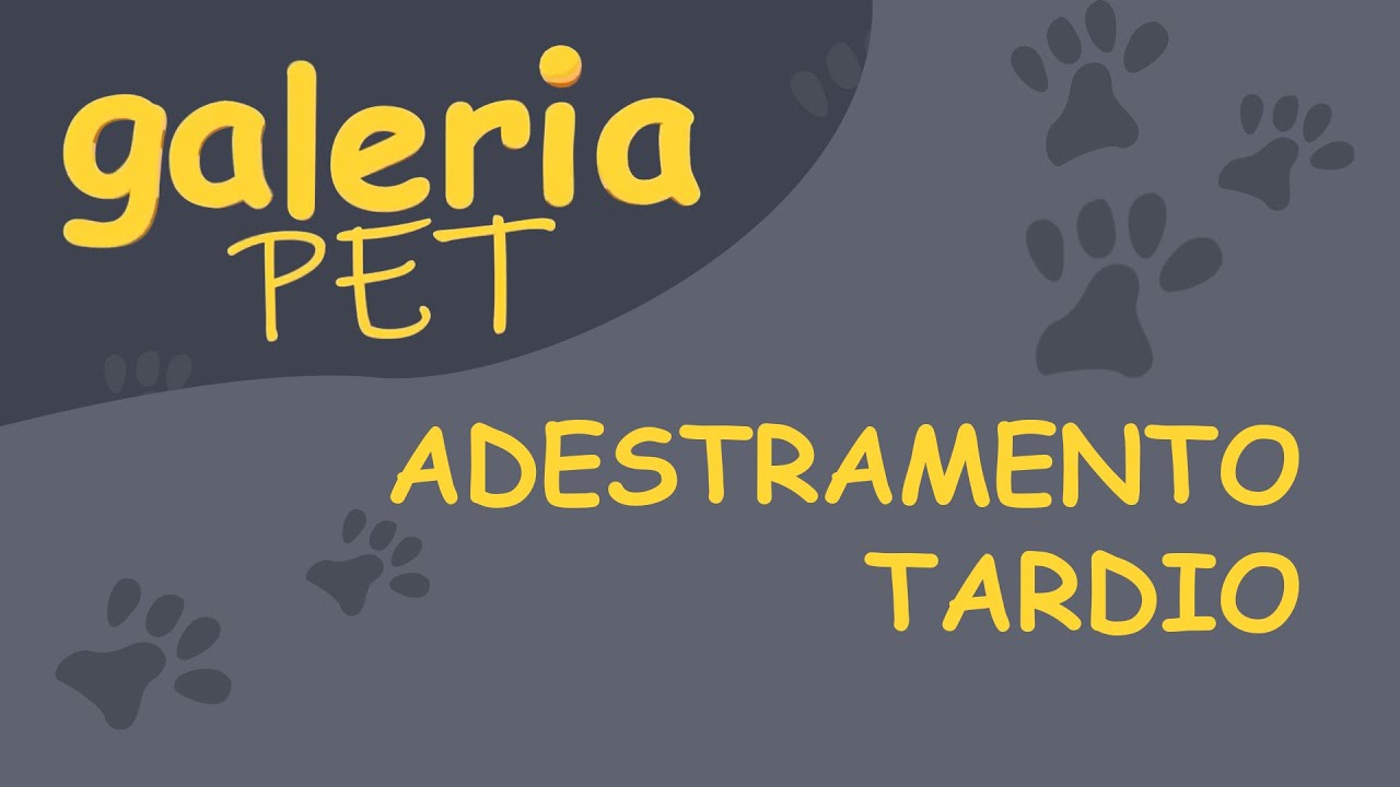 ADESTRAMENTO TARDIO | Galeria Pet