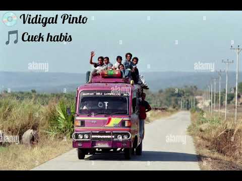 Vidigal Pinto cuek habis (original sound)