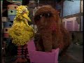 Classic Sesame Street BIG BIRD IS GOING TO HAVE A BABY