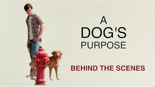 A Dog's Purpose: Behind the Scenes with Britt Robertson, K.J. Apa, Josh Gad, Lasse Hallstrom video