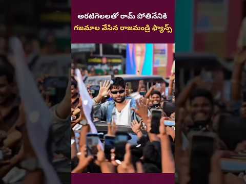 అరటిగెలలతో రామ్ పోతినేనికి గజమాల వేసిన రాజమండ్రి ఫ్యాన్స్ #rampothineni #reels #entertainment #short
