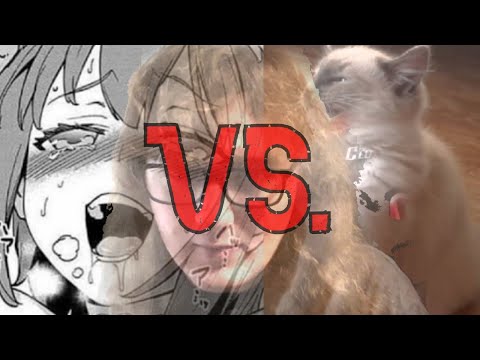 Hentai vs. Furries, The Third Person Shooter