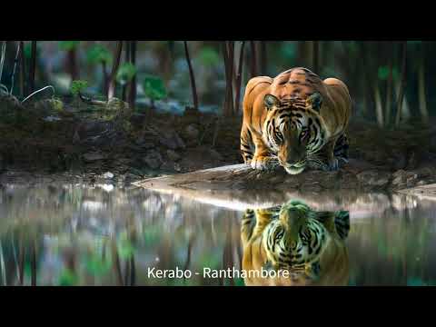 Kerabo - Ranthambore [Lohit Deep]