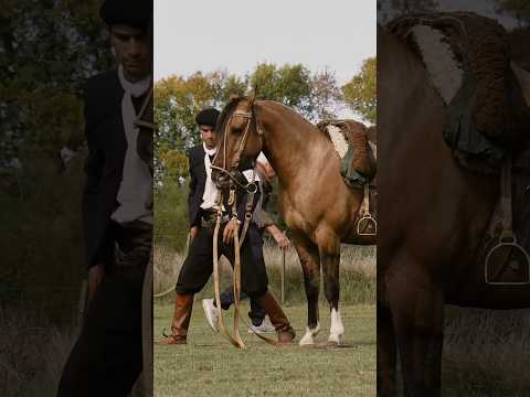 Clasificación para La Rural 2026 “ Caballos de Trabajo“ en San Antonio de Areco