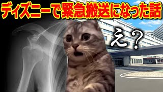 ディズニーで浮かれて脱臼して病院送りになった話【実体験】　#猫ミーム #猫マニ