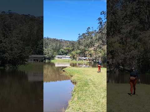 FLOE José Zago - Trajano de Moraes / RJ.