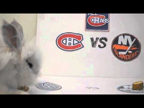 Puck the Bunny Predicts: Montreal Canadiens vs New York Islanders