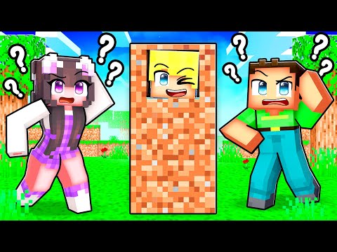 Ich habe mich in Blöcken versteckt, um meine Freunde zu trollen! (Minecraft)