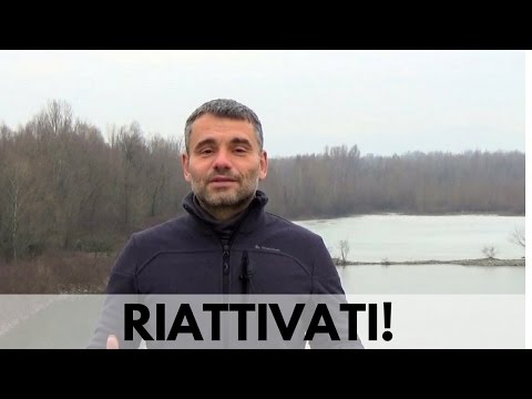 La curvatura della colonna vertebrale cervicale nei neonati Ortesi ginocchio Smolensk