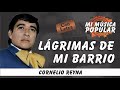 Lágrimas De Mi Barrio - Cornelio Reyna - Con Letra (Video Lyric)