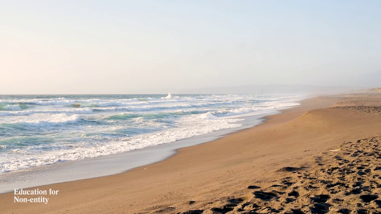 Alan Watts | Human Consciousness | Education for Non-Entity (full)