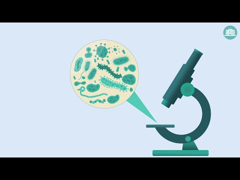 What are antibiotics and what are they used for? | Natural Sciences C