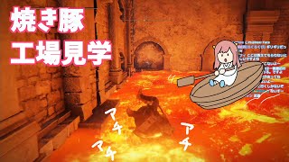 【 エルデンリング】すべてのボス撃破を目指してしゅっぱ～つ【ELDEN RING】#19