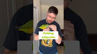Parrots – Petting Etiquette