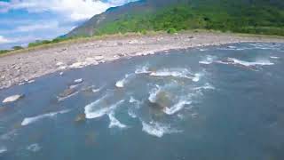 [問卦] 下禮拜要智力測驗，怎樣才不會被罵？