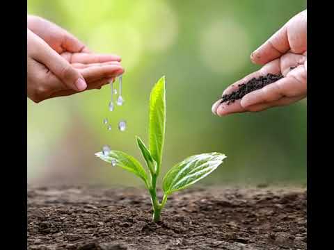 HĐTN lớp 7 Chủ đề 7 Hiệu ứng nhà kính