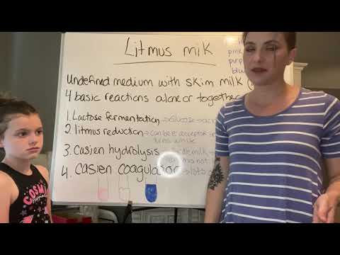 Litmus milk