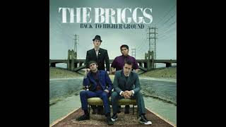 The Briggs - Wasting Time