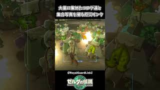 うるさすぎるコログ達を爆破するリンクｗｗ【ゼルダの伝説 ティアーズ オブ ザ キングダム】
