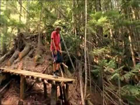 extreme downhill - freeride - mtb DH  new world disorder #6