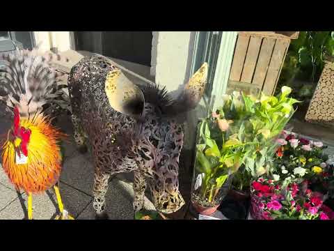 Walking around Newtown part 1