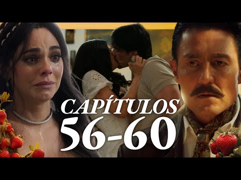 ¡Se acabaron las mentiras en la hacienda Montoro! | Amanecer | Cap 56-60