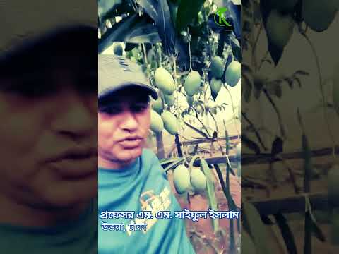 গ্রাহক ভিডিও রিভিউ