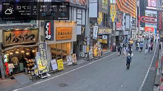 🎧 Monchiro Lounge | Tokyo Live Webcam 🇯🇵 | Chill Lounge • City Pop • 24/7