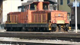 preview picture of video 'DE 145.03 FNM con il treno dei sapori'