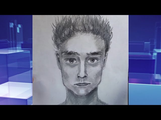 Педофила зафиксировала камера наблюдения