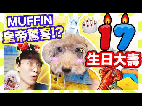 【MUFFIN17歲大壽一天遊😋】狗狗皇帝式慶祝？龍蝦大餐🦞玩盡寵物友善新商場 &狗公園❤️「狗玩的」扭計骰？