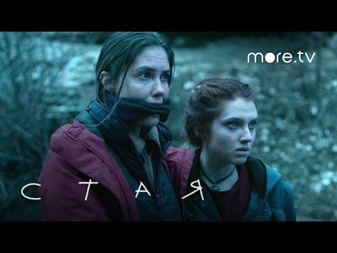 Трейлер