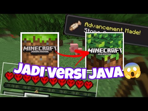 This ADDON Can TURN YOUR MCPE INTO MINECRAFT JAVA!!!