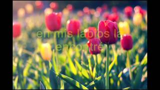 Sharazan   Albano y Romina Power