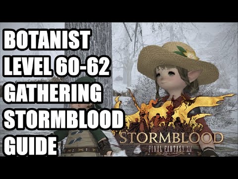 FFXIV Stormblood - Levelling Botanist Gathering Guide 60-62 - Gyr Abania - The Fringes - Commentary