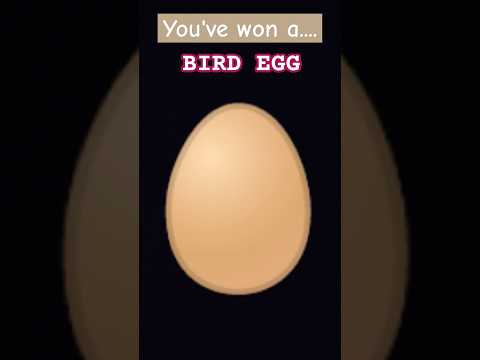 HATCH IT NOW BEFORE ITS TOO LATE!!! #dropitlikeitshot