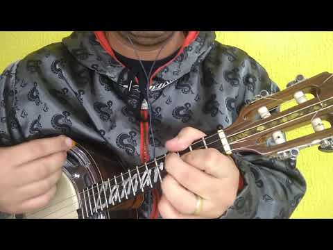 Samba É Nossa Cara - Arlindo Cruz & Sombrinha