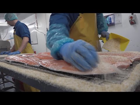 BBC 1 Reporting Scotland News