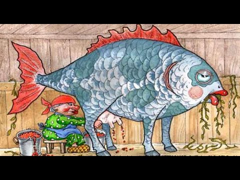 Смотреть видео на alushta24.org