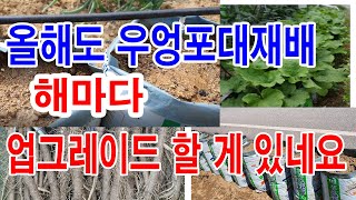올해도 우엉포대재배... 해마다 재배해도 업그레이드 할 게 있네요. 올해도 3가지 방법 업그레이드 하였습니다…