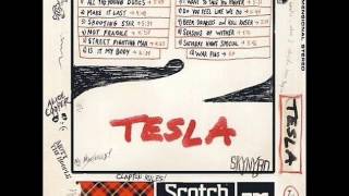 Tesla - Beer Drinkers and Hell Raisers