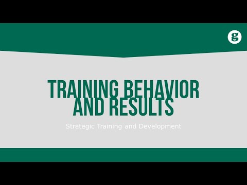 Training Behavior and Results