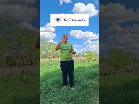 A Melhor Ótica De Pedro Alexandre! #shortsvideo