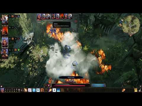 Playthrough (20) Divinity OS2 : Zaleskar, Flaming pigs and Fighting Undead