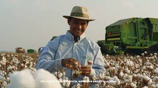 Bom Futuro 40 Anos - Uma Só Família