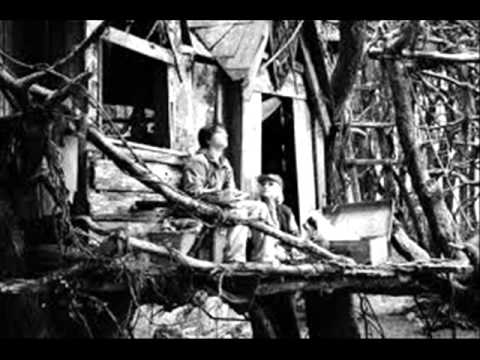 David Milutinović  - Bridge to Terabithia