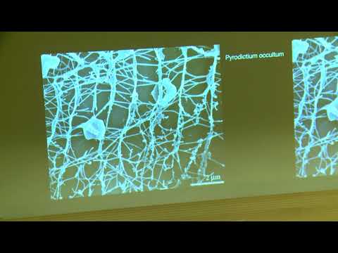 Space 3000 - Dr  Hansjürg Geiger   Heisse Spuren bei der Fahndung nach dem Ursprung des Lebens