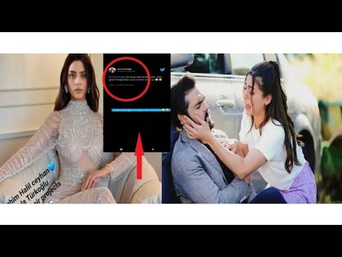 SILA TURKOGLU - HALIL NIJE ZASLUZIO DA ZIVI OVE STVARI