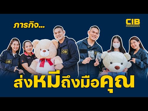 Омбыдағы жезөкшелердің бағасы Секс туралы фильмдерді зерттеу