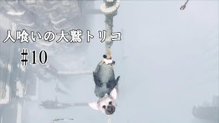 [社畜のゲーム攻略実況]【人喰いの大鷲トリコ】トリコに置いて行かれた（第10回）